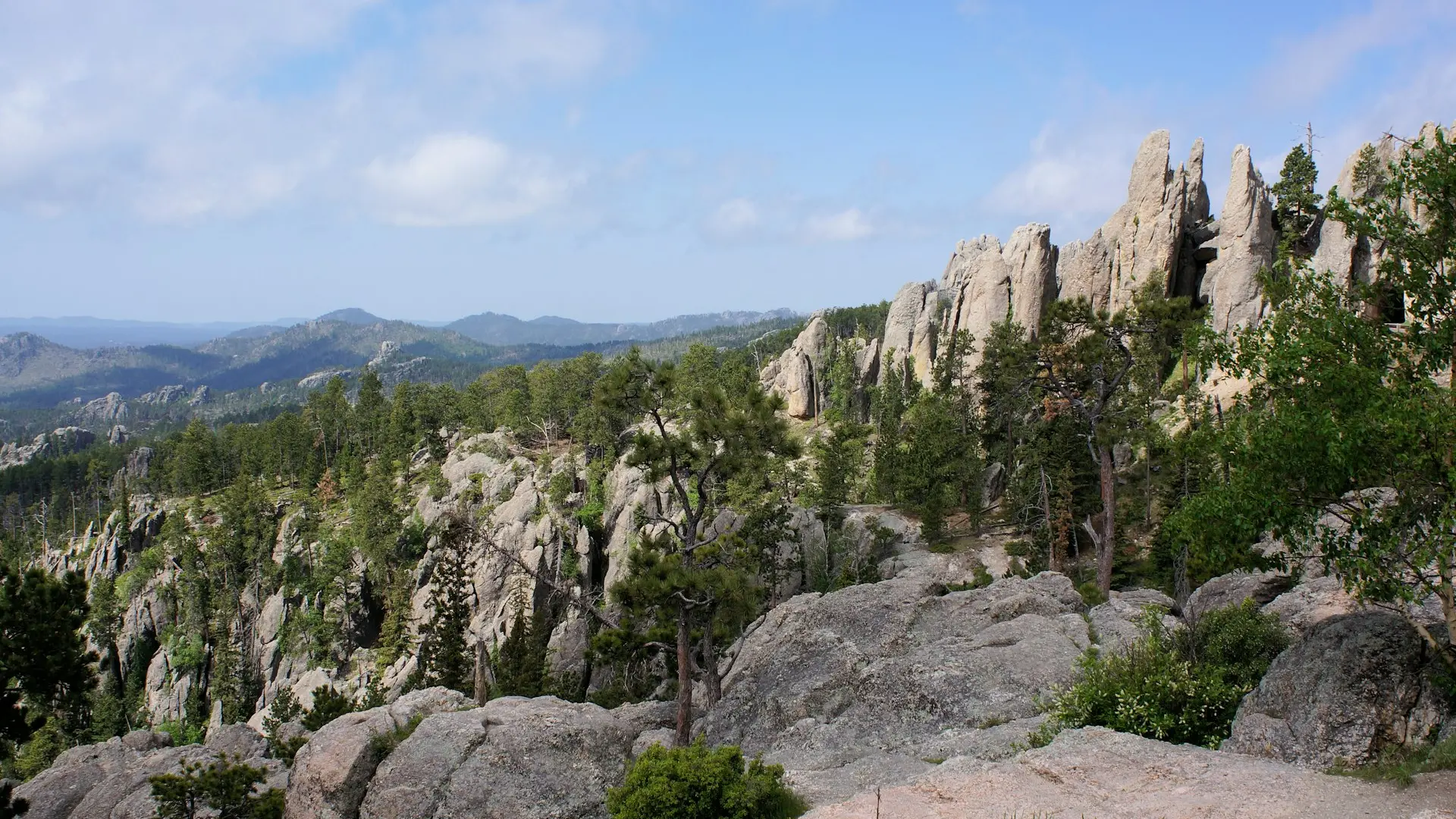 a rocky landscape with trees and mountains